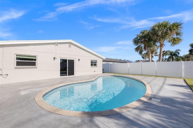 view of pool featuring a patio area