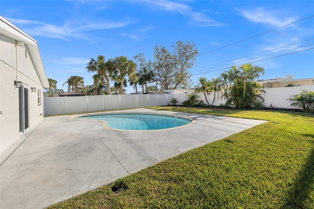 view of pool featuring a patio area and a yard