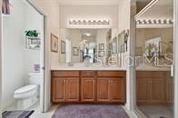 bathroom with vanity, toilet, and walk in shower