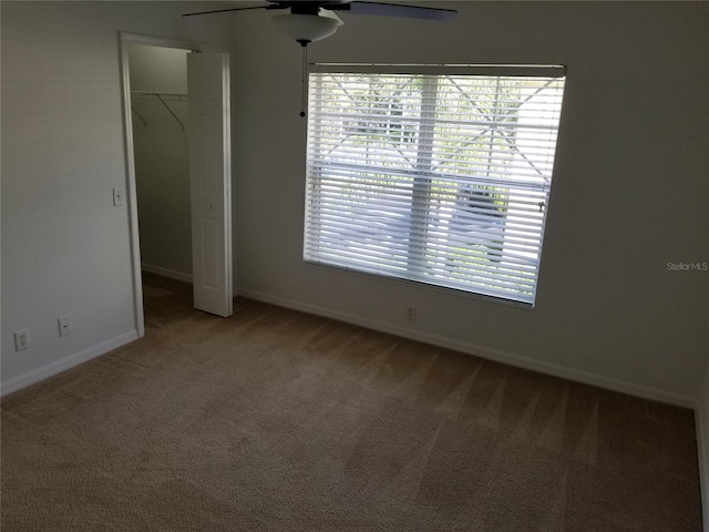 unfurnished bedroom featuring carpet flooring, ceiling fan, a walk in closet, and a closet