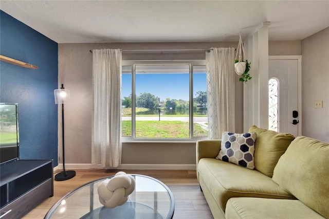6524 14th St N, Saint Petersburg, FL 33702 - living room with wood finished floors, baseboards, and healthy amount of natural light