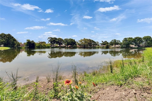 6524 14th St N, Saint Petersburg, FL 33702 - water view