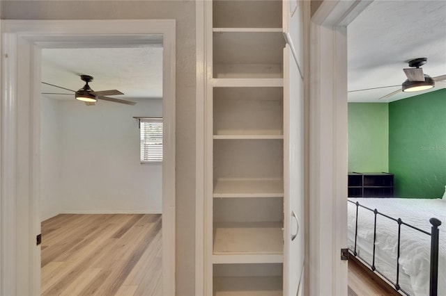 6524 14th St N, Saint Petersburg, FL 33702 - view of closet