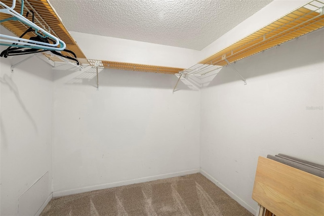 walk in closet featuring carpet flooring