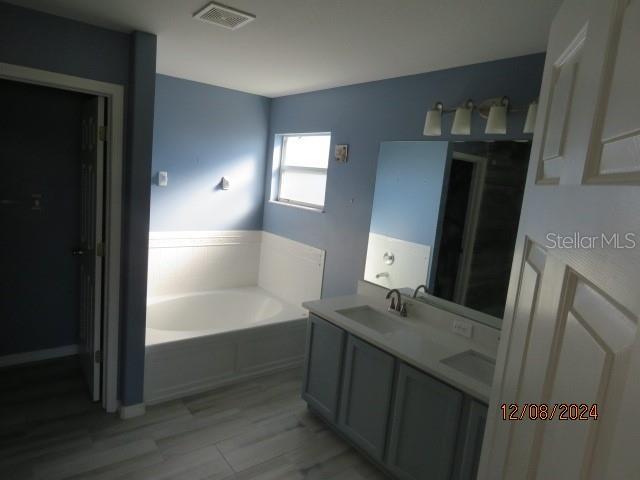 bathroom with a washtub and vanity