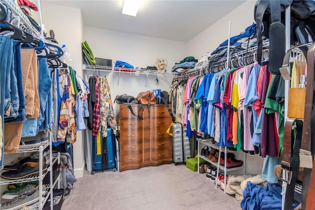 walk in closet with carpet floors