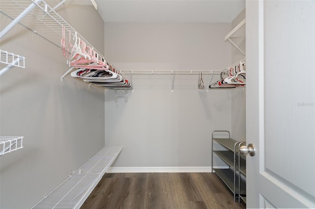 spacious closet with dark hardwood / wood-style flooring