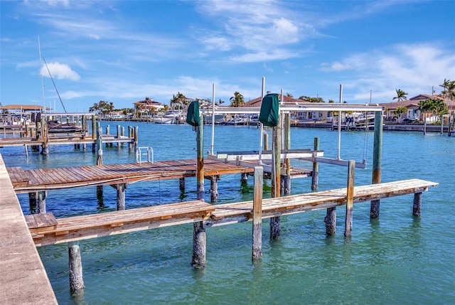 dock area with a water view