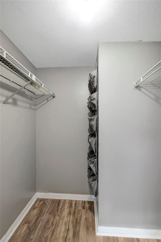 6923 Stonesthrow Cir N Unit 4105, Saint Petersburg, FL 33710 - walk in closet featuring wood finished floors
