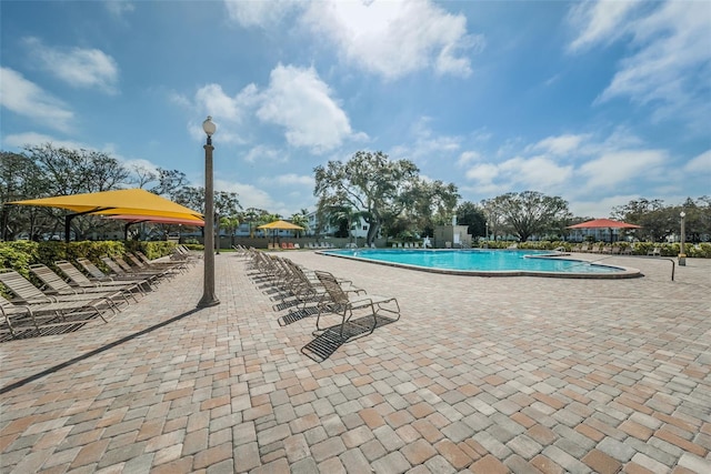 view of swimming pool with a patio area