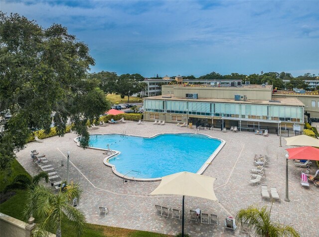 view of swimming pool featuring a patio