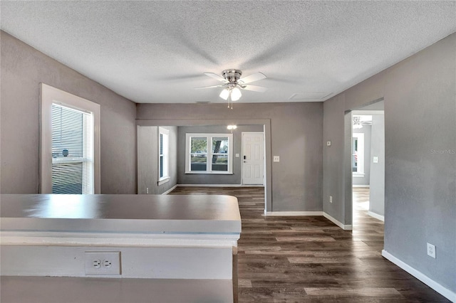 kitchen with a wealth of natural light, dark hardwood / wood-style flooring, and a textured ceiling