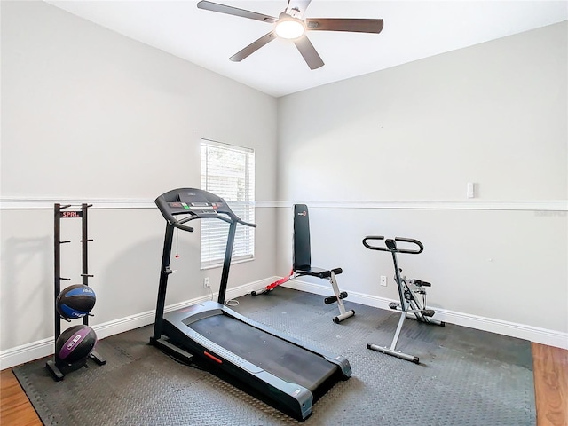 workout room with ceiling fan and wood-type flooring