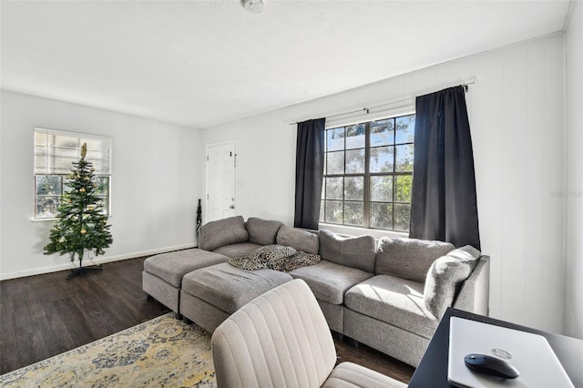 living room with dark wood-type flooring