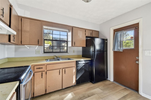 kitchen featuring black appliances, a healthy amount of sunlight, sink, and light hardwood / wood-style flooring