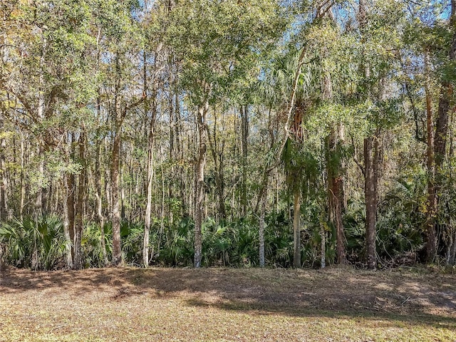 Listing photo 2 for 5410 Swallow Dr, Land O Lakes FL 34639