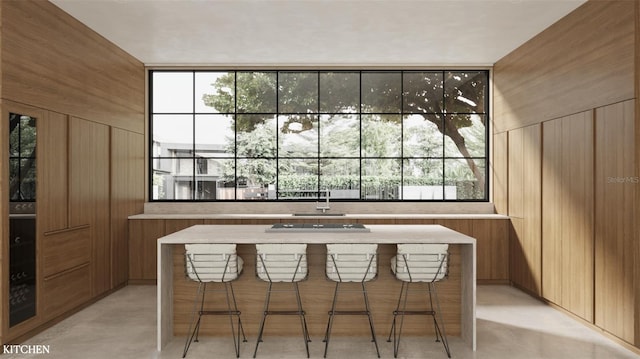 bar featuring wood walls, plenty of natural light, and sink