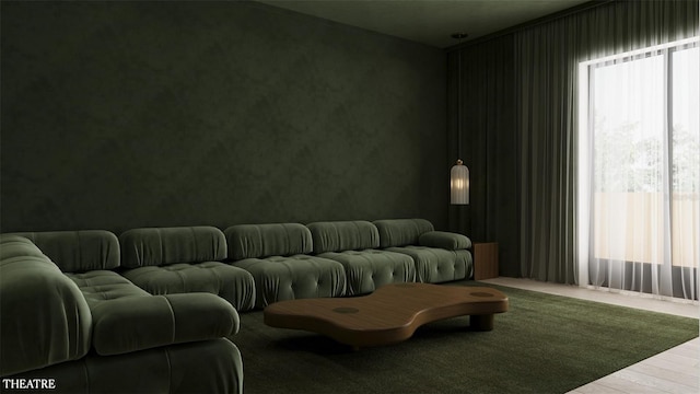 cinema featuring hardwood / wood-style flooring