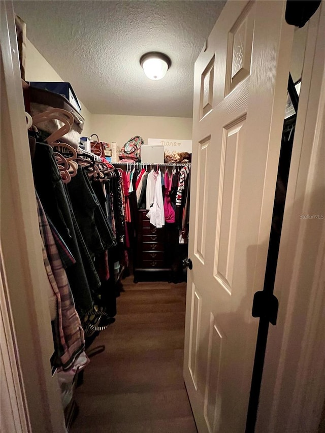 spacious closet featuring dark hardwood / wood-style floors