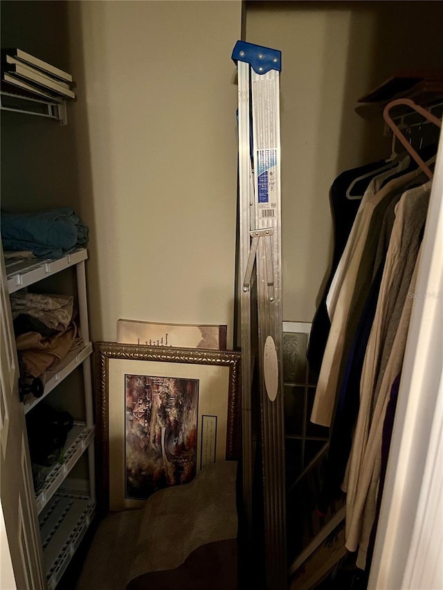 view of spacious closet