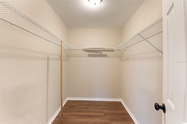 spacious closet with wood finished floors