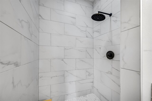 room details with tiled shower