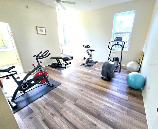 exercise room featuring ceiling fan and hardwood / wood-style flooring