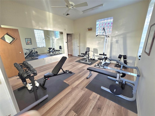 exercise area featuring ceiling fan and wood-type flooring