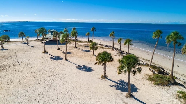 water view featuring a beach view