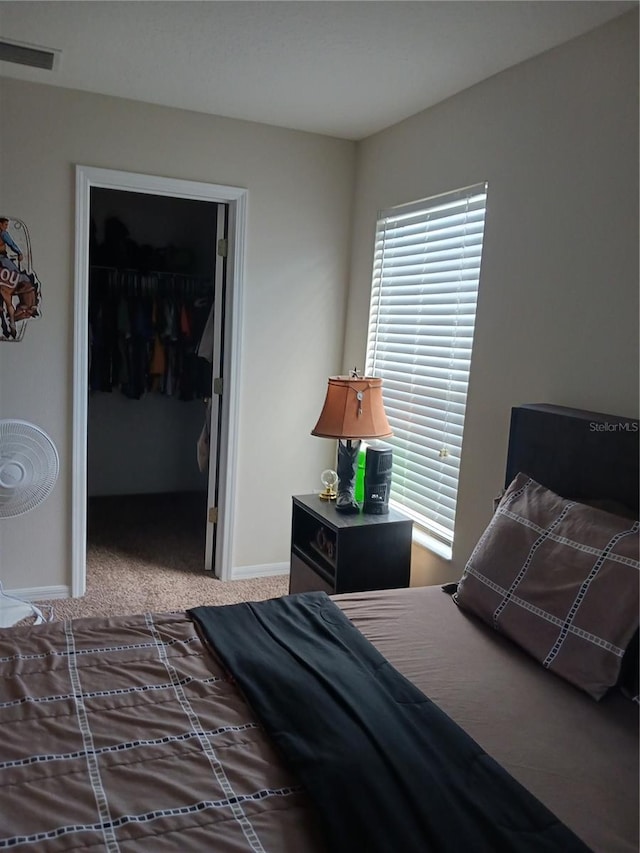 bedroom featuring carpet, a closet, and a walk in closet