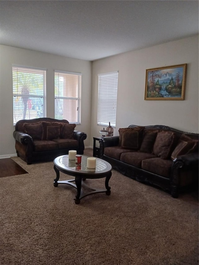 living room with carpet floors