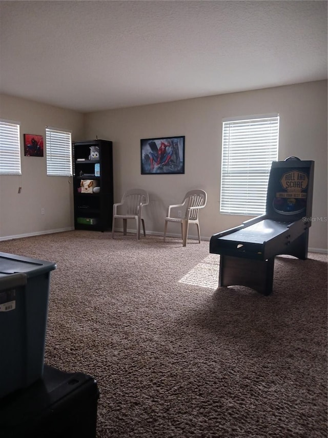 rec room with carpet