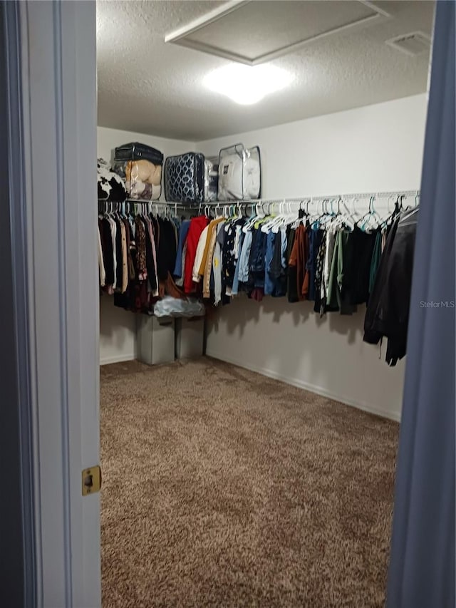 spacious closet with carpet flooring