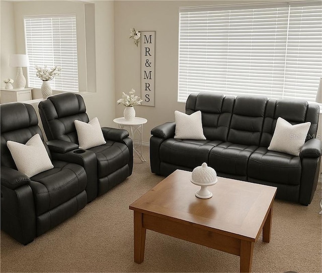 living area with light carpet