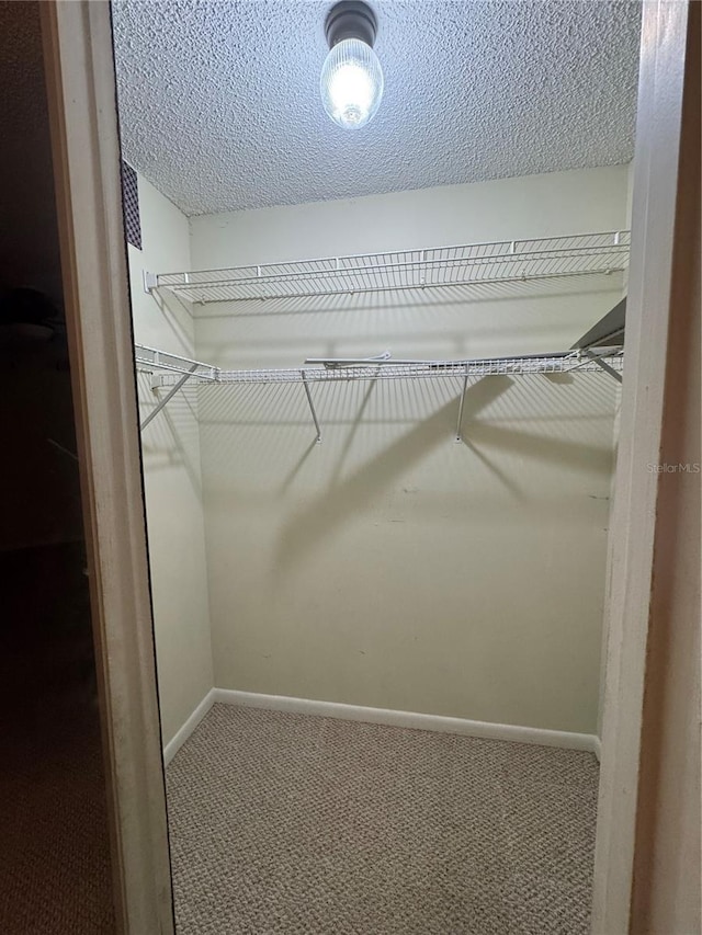 walk in closet featuring carpet