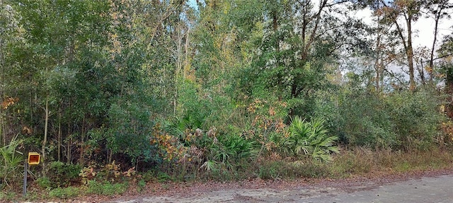 6353 W Country Club Dr, Homosassa FL, 34448 land for sale