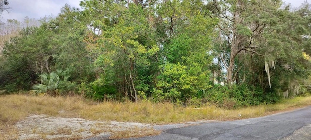 Listing photo 3 for 965 S Sally Ter, Inverness FL 34452