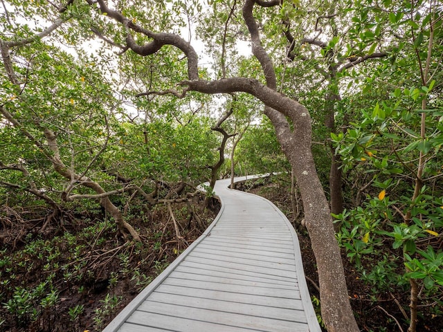 744 Jungle Queen Way, Longboat Key, FL 34228 - photo 34