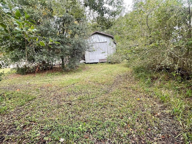 view of yard featuring a storage shed