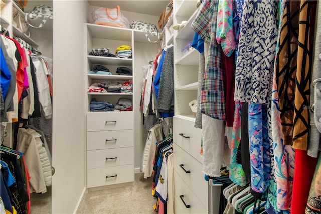 walk in closet featuring light carpet