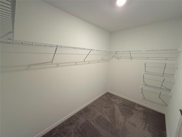 walk in closet with dark carpet