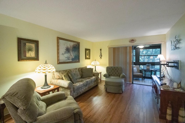 living room with dark hardwood / wood-style flooring