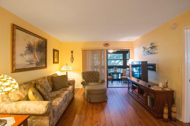 living room featuring hardwood / wood-style flooring