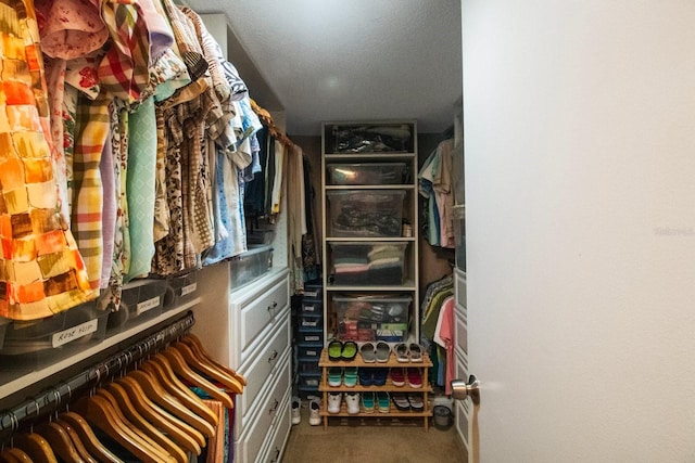 view of spacious closet