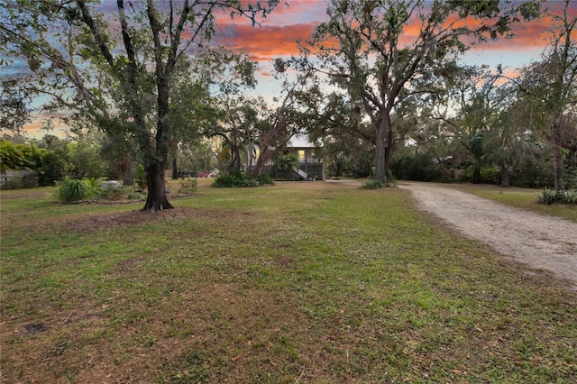 view of yard at dusk