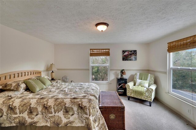 bedroom featuring multiple windows, carpet, and a textured ceiling