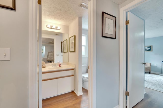 bathroom with wood-type flooring, vanity, a textured ceiling, and plenty of natural light