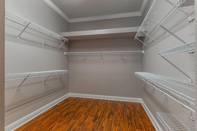 walk in closet featuring dark wood-type flooring