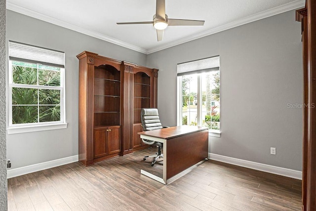 unfurnished office featuring ceiling fan, dark hardwood / wood-style flooring, ornamental molding, and a wealth of natural light