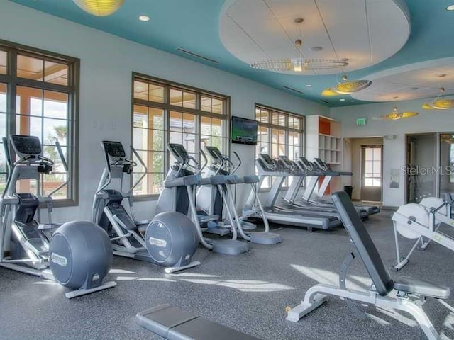 workout area featuring a healthy amount of sunlight